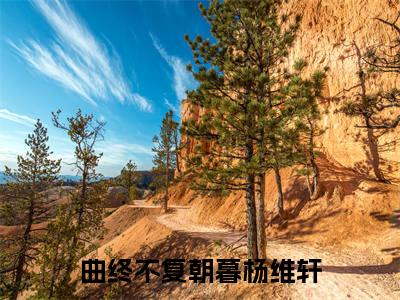 曲终不复朝暮杨维轩全文免费完整版-小说曲终不复朝暮杨维轩（周栖林杨维轩）已完结全集大结局