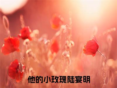 他的小玫瑰陆宴明最新热门小说-（方梨陆宴明）最新章节免费阅读