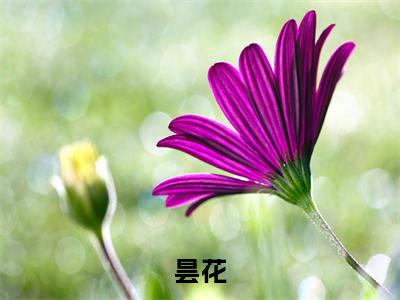 吕青梁宇森（吕青梁宇森）小说全文免费阅读正版无弹窗_昙花小说免费阅读全文无弹窗_笔趣阁