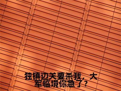 独镇边关要杀我，大军临境你急了？（秦风小说）全文免费阅读无弹窗大结局_秦风完整版小说阅读