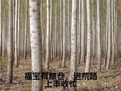 福宝有粮仓，逃荒路上丰收忙（杨春泥）小说全文免费阅读无弹窗_（杨春泥）最新章节列表_笔趣阁