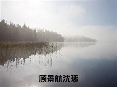 顾景航沈琢（沈琢顾景航小说全文）在线阅读无弹窗大结局-顾景航沈琢全文无删减版阅读