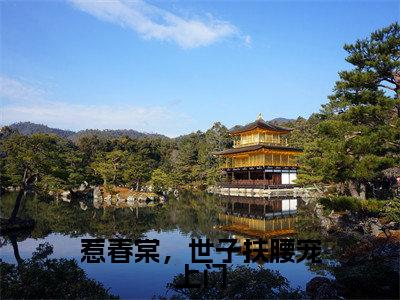 惹春棠，世子扶腰宠上门最新章节-（沈棠傅明宪）惹春棠，世子扶腰宠上门全文在线阅读无弹窗