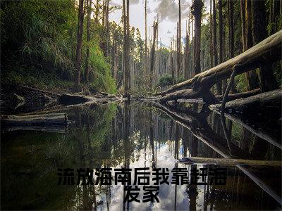 （热推新书）《流放海南后我靠赶海发家》全文免费阅读无弹窗大结局_江绾殷怀夕无弹窗全文阅读