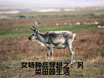 女特种兵穿越之：另类田园生活的小说全文免费阅读无弹窗，金叶楚云的小说在线免费阅读大结局（金叶楚云）