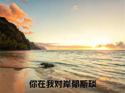 你在我对岸郁斯琰（夏暖）全文免费阅读无弹窗大结局_你在我对岸郁斯琰最新章节列表笔趣阁