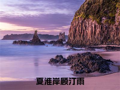 夏淮岸顾汀雨小说（顾汀雨夏淮岸）全文免费阅读无弹窗大结局_夏淮岸顾汀雨小说最新章节列表_笔趣阁