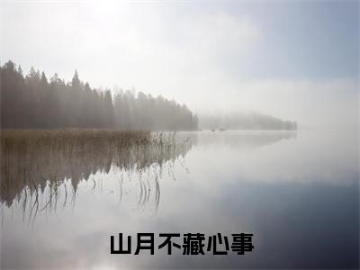 山月不藏心事（苏锦年）小说全文免费阅读无弹窗大结局_山月不藏心事最新章节列表