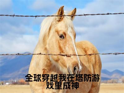 陈梦河小说免费下载阅读_（全球穿越我在塔防游戏里成神）陈梦河最新章节列表_笔趣阁（全球穿越我在塔防游戏里成神）