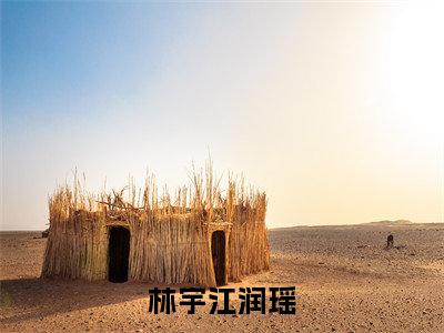 江润瑶林宇（林宇江润瑶）全文阅读-最火热点小说江润瑶林宇最新更新