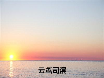 云鸢司溟（司溟云鸢）全文免费阅读无弹窗大结局_云鸢司溟最新章节列表