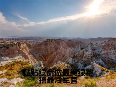 贴贴续命做最美绿茶撩最冷军官全文免费阅读（江雨眠霍峥免费阅读无弹窗）贴贴续命做最美绿茶撩最冷军官最新章节列表_笔趣阁