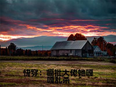 时芜辞渊免费阅读无弹窗大结局，快穿：疯批大佬她嘎嘎乱杀（最新全章节）全文阅读免费阅读-笔趣阁