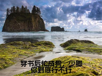 沈清浅第五寻为穿书后忙成狗，少卿你到底行不行的小说叫什么-最新小说穿书后忙成狗，少卿你到底行不行全文阅读