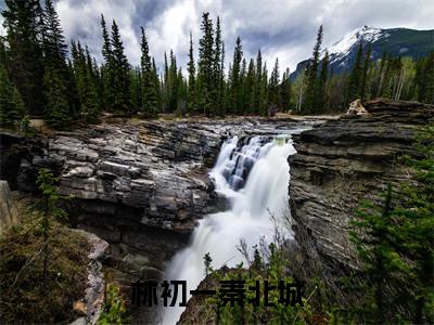 林初一秦北城（秦北城林初一）全文免费阅读-（秦北城林初一小说）林初一秦北城最新章节列表