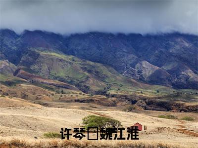 许琴玥魏江淮全文（许琴玥魏江淮）完整版小说阅读无删减_（许琴玥魏江淮）许琴玥魏江淮全本列表免费笔趣阁