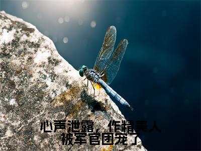 温星月霍庭宵小说免费阅读-心声泄露，作精美人被军官团宠了完整版全文大结局