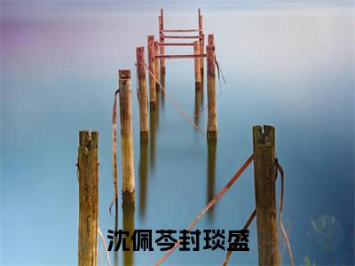 沈佩芩封琰盛（沈佩芩封琰盛）全文免费阅读无弹窗大结局_沈佩芩封琰盛最新章节列表_笔趣阁