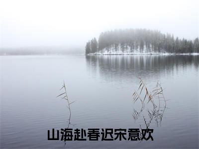 傅祈年宋意欢是什么小说-（山海赴春迟宋意欢全文阅读）最新章节列表（番外）+（全文）