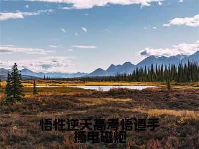 苏勤最新章节（悟性逆天高考悟道手撕电磁炮）全文免费阅读无弹窗大结局_悟性逆天高考悟道手撕电磁炮小说全文免费阅读正版无弹窗