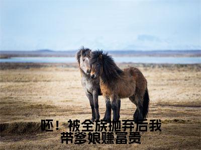唐小南小说（呸！被全族抛弃后我带爹娘赚富贵）全文免费阅读无弹窗大结局_唐小南小说最新章节列表