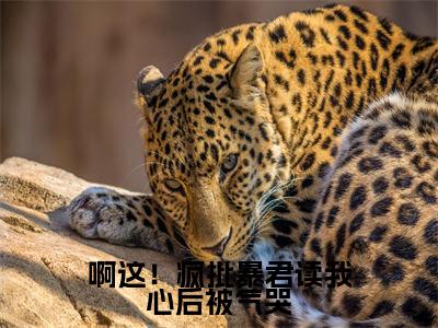 啊这！疯批暴君读我心后被气哭（啾啾）全文免费阅读无弹窗大结局_（啊这！疯批暴君读我心后被气哭）啾啾免费阅读无弹窗最新章节列表