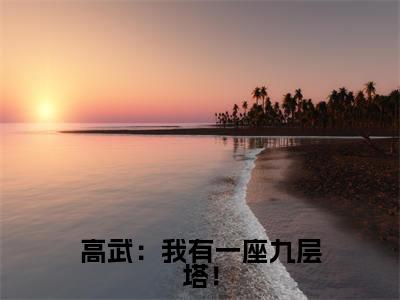庄毅小说高武：我有一座九层塔！完整版阅读高武：我有一座九层塔！全文在线赏析