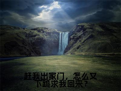 赶我出家门，怎么又下跪求我回来？全文免费阅读无弹窗大结局_赶我出家门，怎么又下跪求我回来？（陆青云）小说结局免费阅读（陆青云）