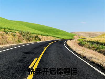 快穿开启锦鲤运最新章节，快穿开启锦鲤运今日热议小说完本阅读