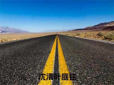 沈清叶庭铉（叶庭铉沈清）小说最新章节阅读-全网最新首发小说沈清叶庭铉（叶庭铉沈清）免费阅读全章节