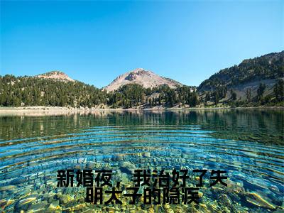 黎语颜夜翊珩全文（新婚夜，我治好了失明太子的隐疾）全文免费阅读无弹窗大结局_新婚夜，我治好了失明太子的隐疾免费最新章节列表_笔趣阁