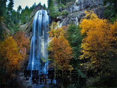 （陆霖后续+免费）御兽：被退学后，我契约了禁忌灵兽小说大结局-精彩美文陆霖免费阅读