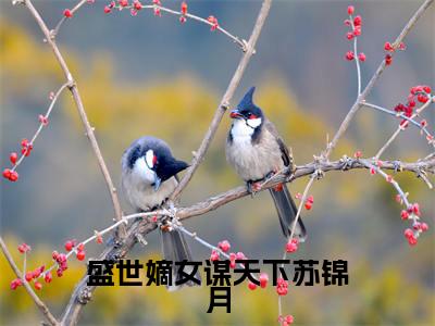 盛世嫡女谋天下苏锦月小说（苏锦月）全文免费阅读无弹窗大结局_盛世嫡女谋天下苏锦月完整版最新阅读_笔趣阁（苏锦月）