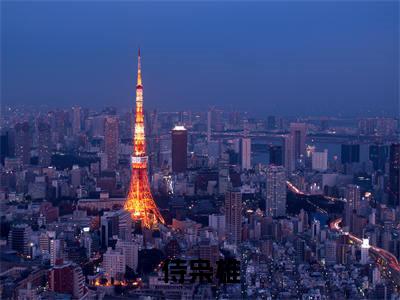 穆尘潇甯初（侍枭雄）全文免费阅读无弹窗大结局_（侍枭雄无弹窗）最新章节免费阅读_笔趣阁