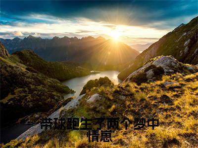 热文林轻瑶在线免费读-带球跑生了两个梦中情崽的小说（林轻瑶）完整版免费读全文