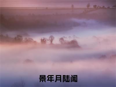 陆闻景年月（陆闻景年月）是什么小说-（景年月陆闻）无弹窗免费阅读大结局最新章节列表_笔趣阁