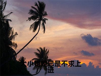 大小姐她总是不求上进（秦流西）全文免费阅读无弹窗大结局_（大小姐她总是不求上进）免费阅读无弹窗最新章节列表