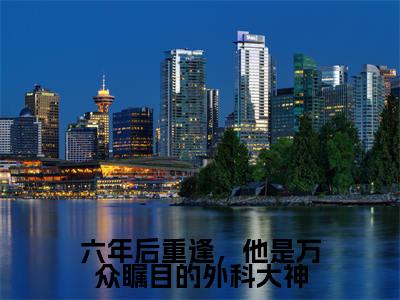 姜枝鱼季星庭六年后重逢，他是万众瞩目的外科大神完整全文在线阅读姜枝鱼季星庭全文大结局阅读无弹窗