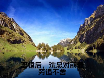（热推新书）《离婚后，沈总对前妻穷追不舍》沈泽云无弹窗阅读_离婚后，沈总对前妻穷追不舍最新章节列表_笔趣阁