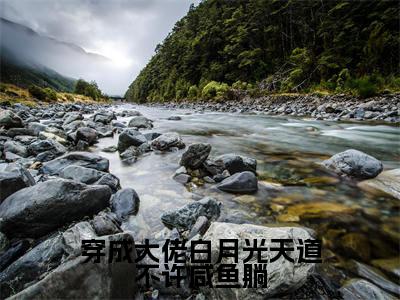穿成大佬白月光天道不许咸鱼躺（苏月见南宫漓）小说全文无删减版_穿成大佬白月光天道不许咸鱼躺最新章节列表_笔趣阁（苏月见南宫漓）