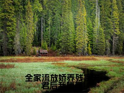 周泽琛宁织（周泽琛宁织）全文免费阅读无弹窗_全家流放娇养残疾夫君后我躺赢小说免费阅读_笔趣阁