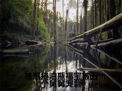 被骂拖油瓶福宝被五个舅舅宠翻全文免费阅读无弹窗大结局_被骂拖油瓶福宝被五个舅舅宠翻（姜浅）小说结局免费阅读（姜浅）