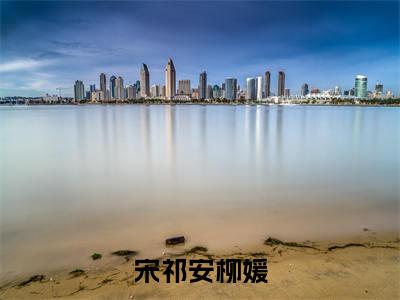 柳媛宋祁安是什么小说宋祁安柳媛正版小说免费阅读_笔趣阁
