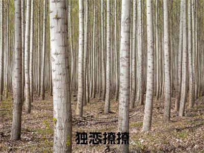独恋撩撩多人追的小说在哪里可以看宋笙意祁知御小说免费阅读全章节