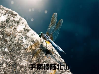 尹南橘陆北山:尹南橘陆北山全文免费阅读无弹窗大结局_尹南橘陆北山:尹南橘陆北山免费阅读