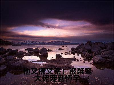 谢京墨虞之琬小说他又撩又茶！被桀骜大佬宠到怀孕在哪里可以看-主角是谢京墨虞之琬的小说他又撩又茶！被桀骜大佬宠到怀孕