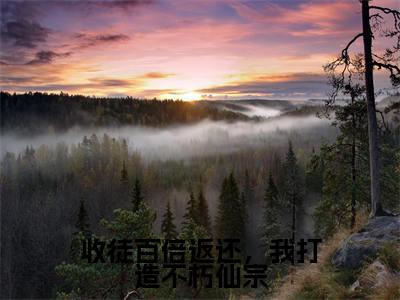 收徒百倍返还，我打造不朽仙宗小说全文-收徒百倍返还，我打造不朽仙宗（林天）最新章节免费阅读