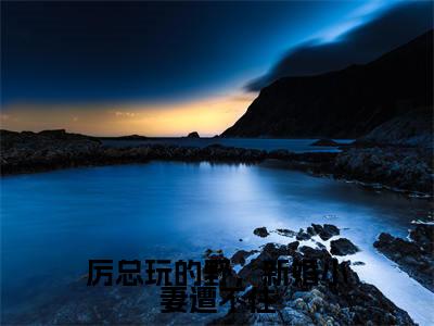 厉总玩的野，新婚小妻遭不住（童晚书厉邢）免费全文阅读小说_童晚书厉邢最新章节列表-笔趣阁（厉总玩的野，新婚小妻遭不住）