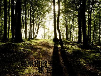 启禀摄政王，王妃又想飞升了全文免费阅读无弹窗（小说全文免费阅读）胡周一最新章节列表