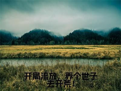 开局流放，养个世子去开荒！全集章节小说免费阅读完整版（沈宁）-沈宁小说免费阅读